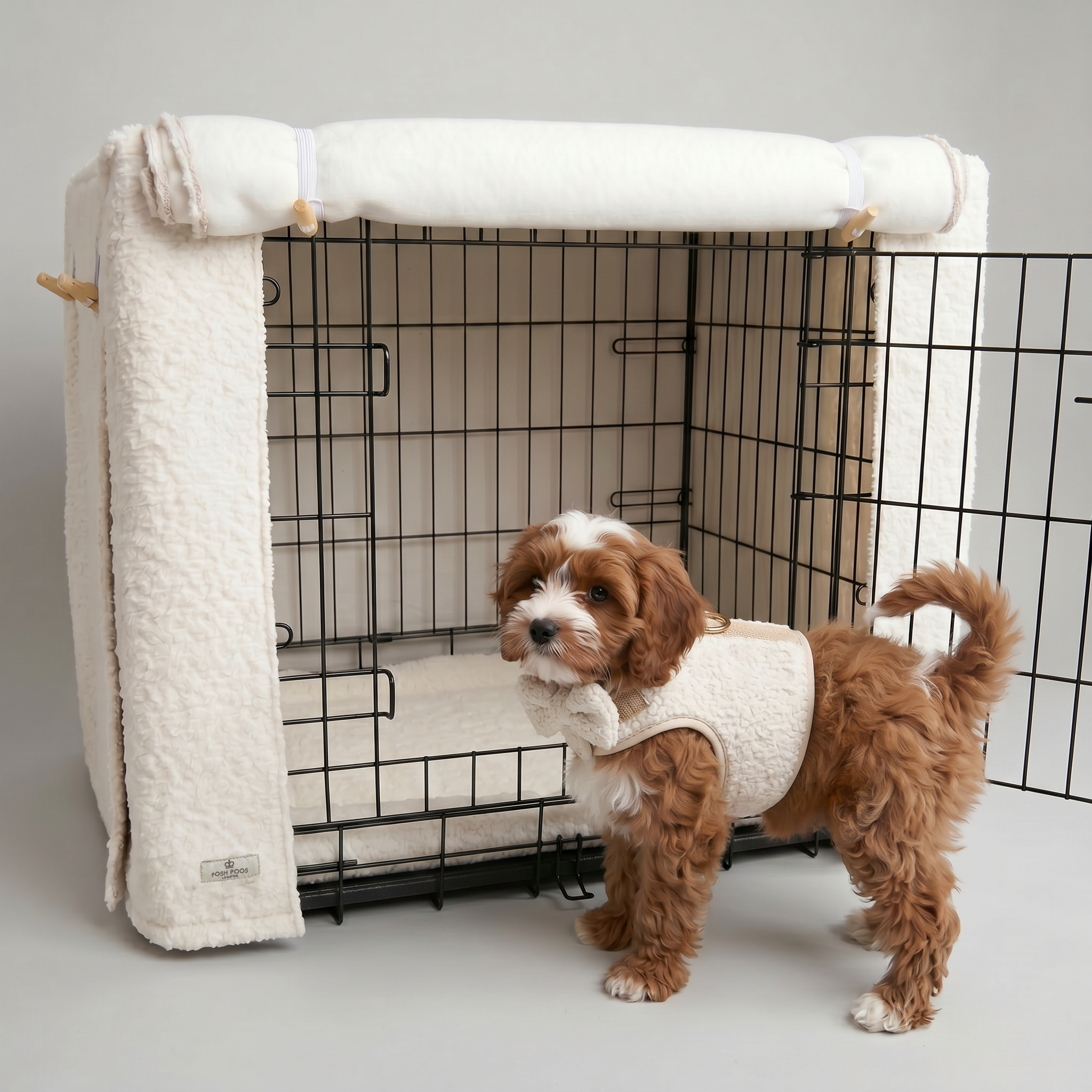 posh poos boucle dog crate set with a beautiful red cavapoo puppy wearing the matching boucle harness