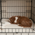 Load image into Gallery viewer, Complete Puppy Crate Set - Luxury Boucle
