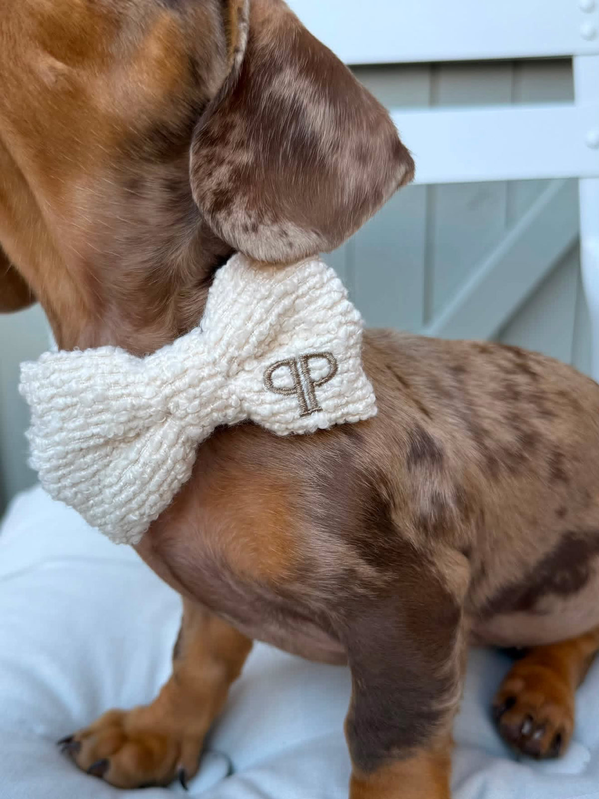 Real Posh Poos Pups, Real Homes