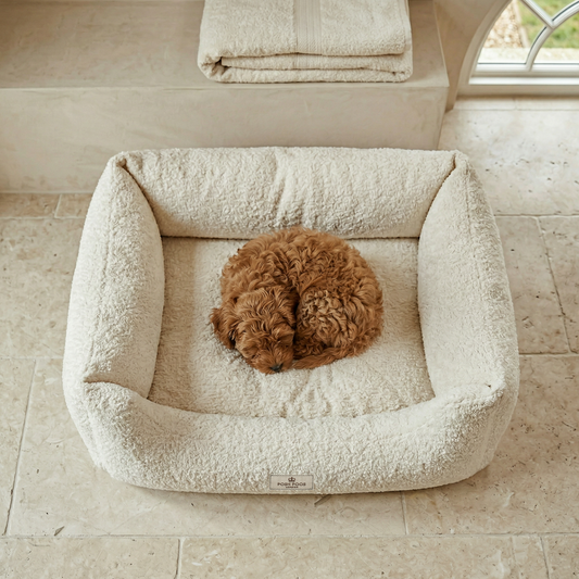 small red maltipoo lying on a boucle dog bed, stone floor and neutral interior 