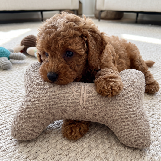 Posh Poos Boucle Bone Toy Puppy/Dog – Stone
