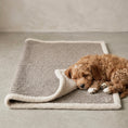 Load image into Gallery viewer, red cavapoo puppy sleeping on a boucle posh poos blanket 
