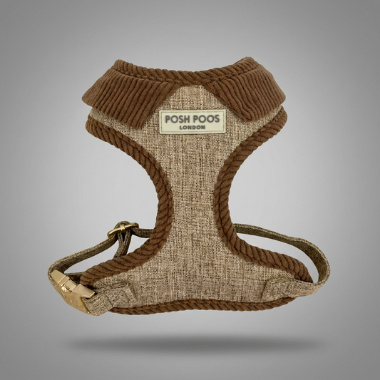 Marlow Chestnut First Walk Set - Harness, Collar & Lead