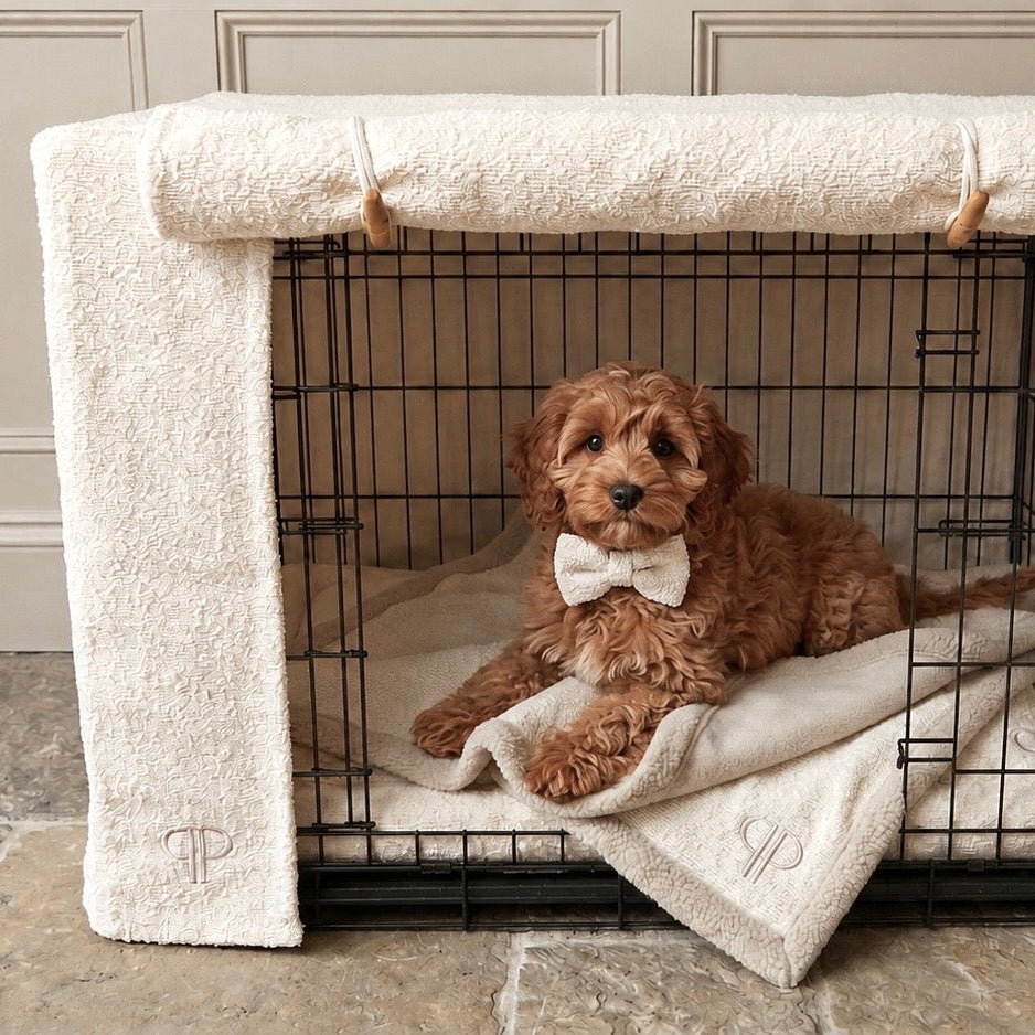 a red cavapoo puppy wearing a boucle bowtie  relaxing inside of a cream boucle fabric dog crate set 