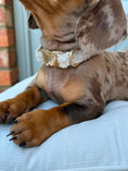 Load image into Gallery viewer, Boucle Puppy Collar - Cream

