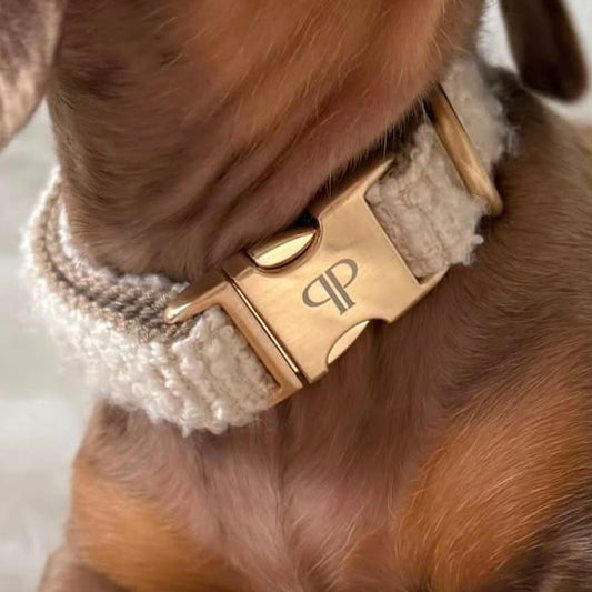 Boucle Puppy Collar - Cream