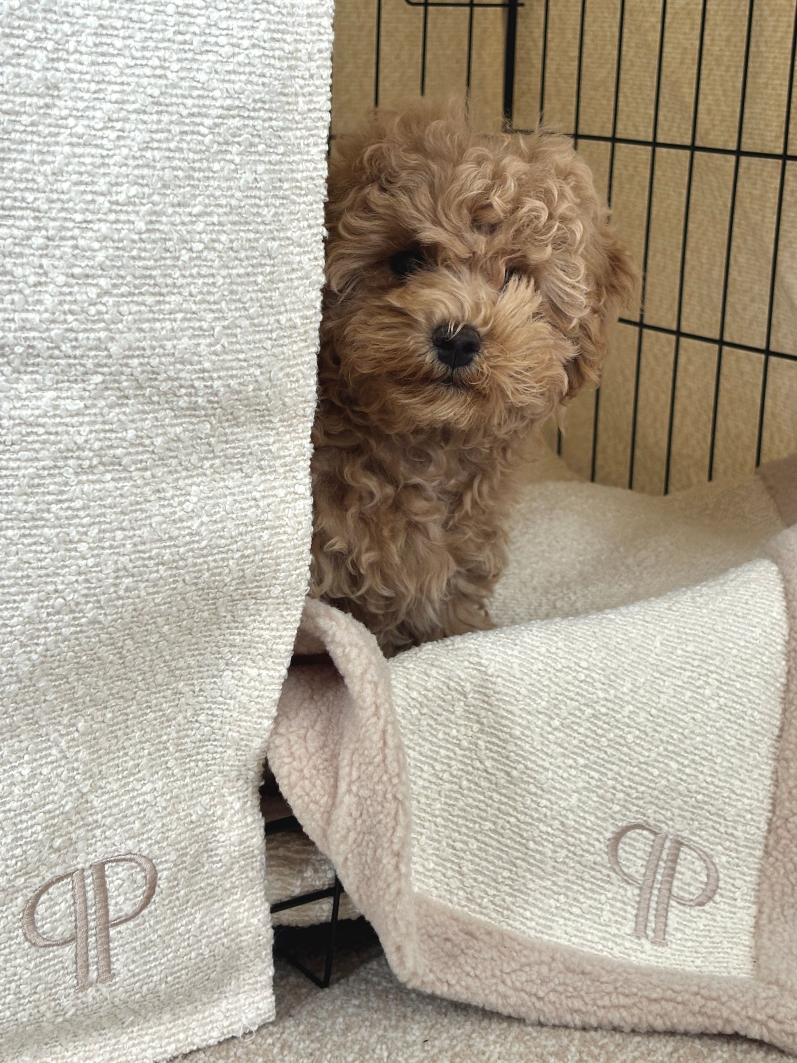 Luxury Boucle Dog Crate Cover - Cream