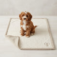 Load image into Gallery viewer, A small red and white cavapoo puppy sits on a cream-colored boucle dog blanket  with a beige sherpa border, set against a neutral light beige background.
