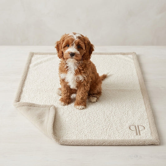 A small red and white cavapoo puppy sits on a cream-colored boucle dog blanket  with a beige sherpa border, set against a neutral light beige background.