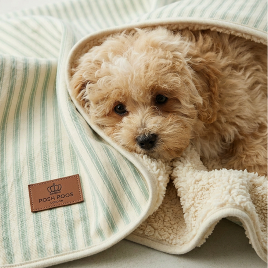 Heritage Stripe Sherpa Backed Blanket - Duck Egg