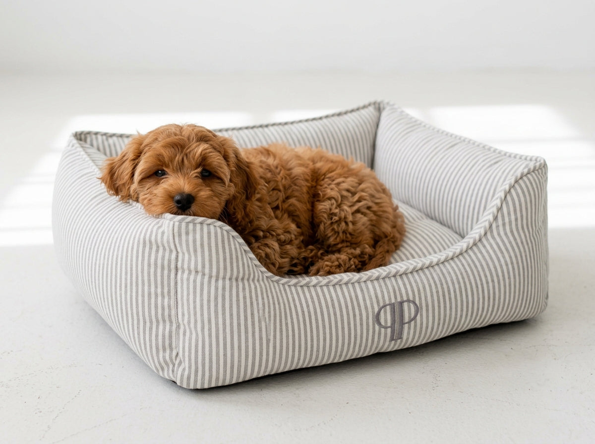 Puppy curled up in Grey Heritage Stripe box dog bed, three-quarter view