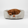 Load image into Gallery viewer, red cavapoo lying in a striped grey dog  bed on a white background, posh poos label
