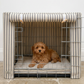 Load image into Gallery viewer, Dog sitting in a striped pet crate with a white background
