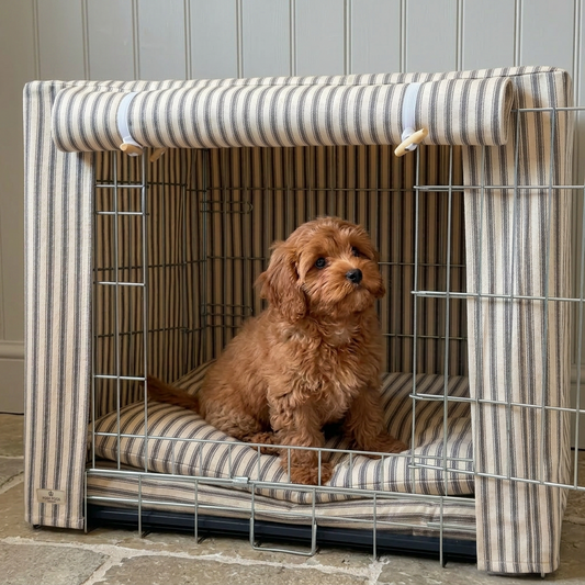 cavapoo puppy inside posh poos grey striped crate set 
