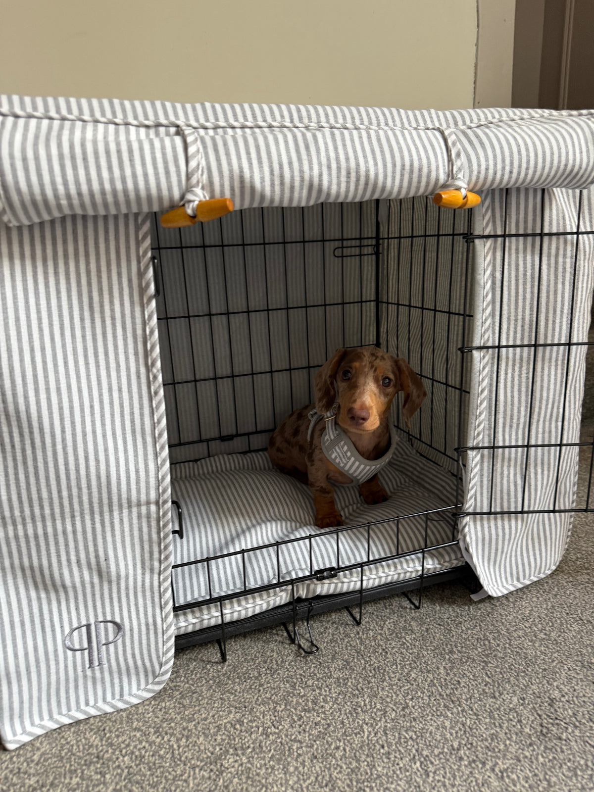 Complete Puppy 4 Piece Crate Set - Grey Heritage Stripe (save up to £40)