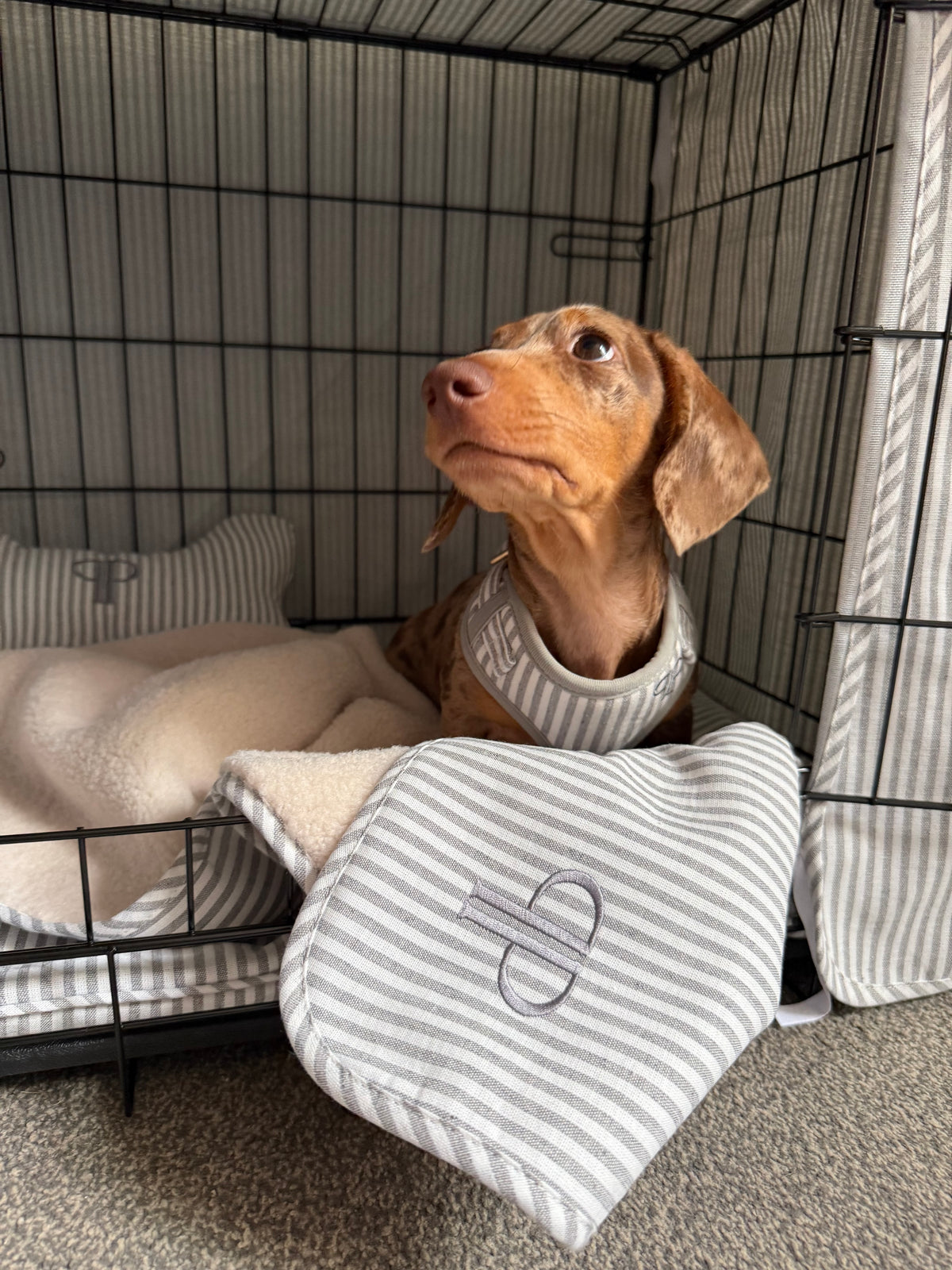 Complete Puppy 4 Piece Crate Set - Grey Heritage Stripe (save up to £40)