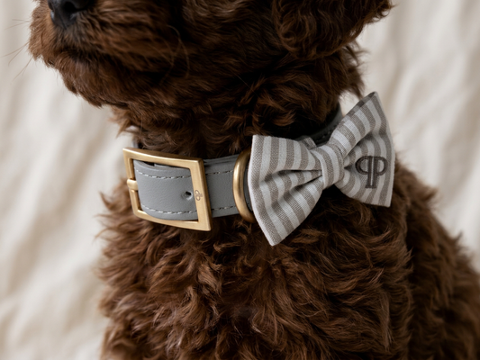 Heritage Stripe Puppy Bowtie - Grey