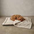 Load image into Gallery viewer, Ivory Monochrome Dog Blanket –with Sherpa | 70 × 100 cm - Ivory
