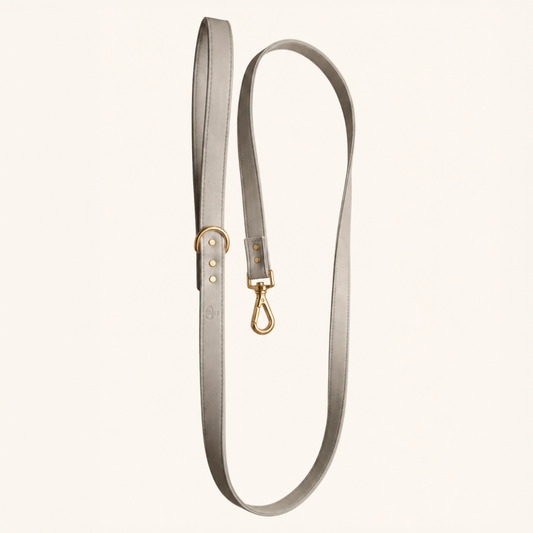 Oyster Vegan Leather Puppy Dog Lead