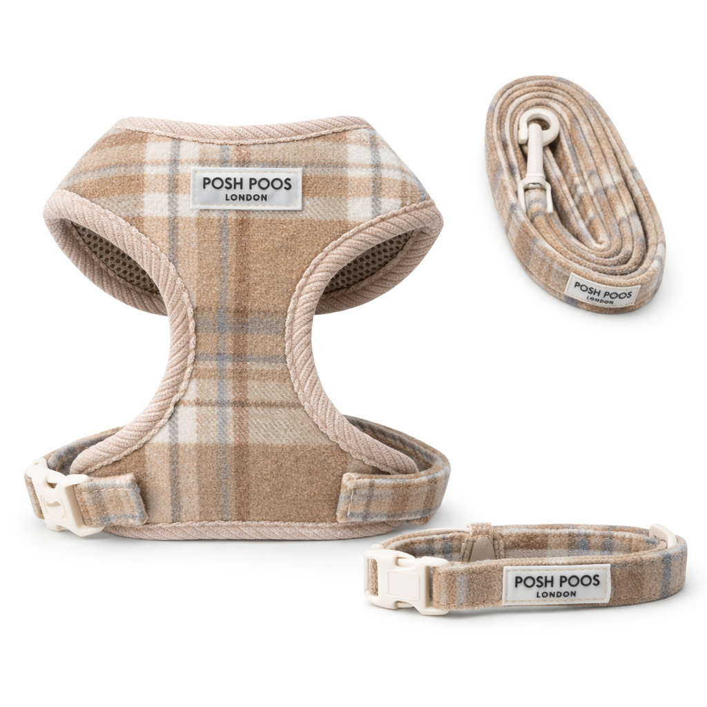 puppy  harness, lead, and collar set with 'Posh Poo' branding on a white background