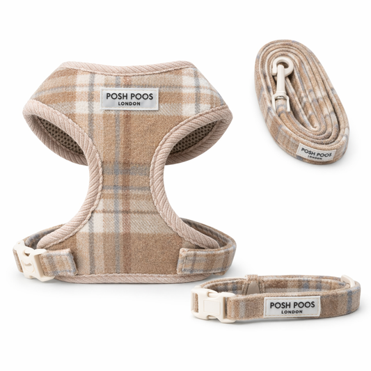 puppy  harness, lead, and collar set with 'Posh Poo' branding on a white background