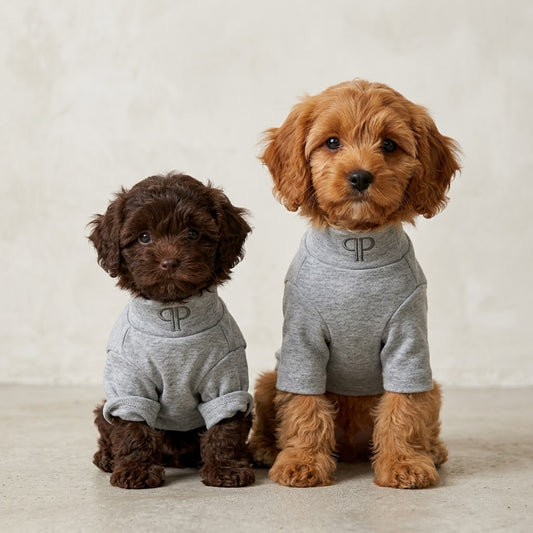 Two puppies wearing grey Posh Poos Monogram Puppy T-Shirts