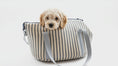 Load and play video in Gallery viewer, Posh Poos Tiny Dog/Puppy Carrier Bag -Grey
