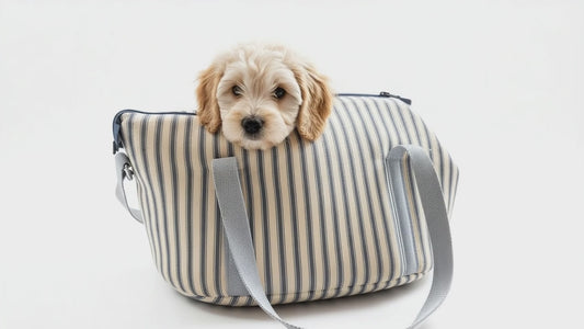 Posh Poos Tiny Dog/Puppy Carrier Bag -Grey