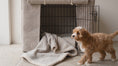 Load and play video in Gallery viewer, Complete Puppy Crate Set - Luxury Boucle - Stone (Save up to £46)
