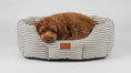 Load and play video in Gallery viewer, red cavapoo dog sleeping in a grey striped posh poos bed 
