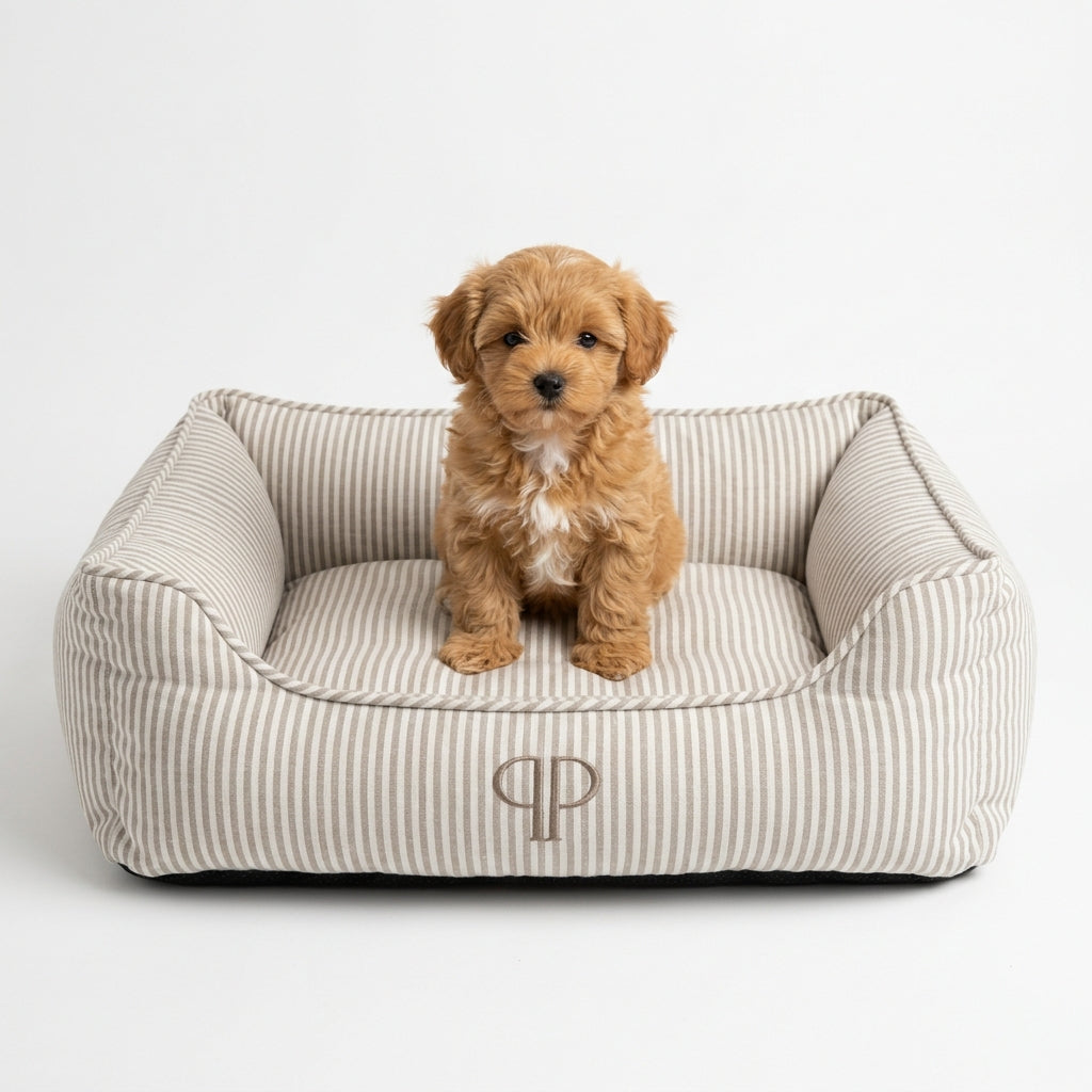 Taupe Heritage Stripe box dog bed with embroidered PP monogram and puppy sitting inside