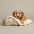 Load image into Gallery viewer, Soft Fleece Plaid Puppy Blanket -Taupe
