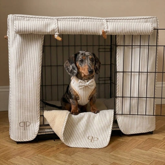A dachshund wearing a matching cream and beige striped puppy harness sits inside a black metal crate with a matching fabric cover. The cover has vertical stripes, a top flap with small wooden toggles, and a front door panel with an embroidered monogram logo.