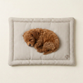 Load image into Gallery viewer, A red curly-haired cavapoo puppy is sleeping curled up on a rectangular striped dog cage mattress bed with a padded border, set against a plain off-white background.
