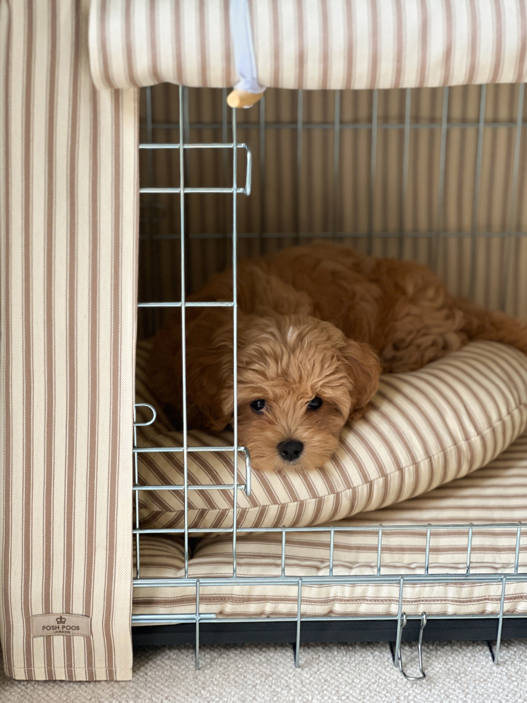 Classic Heritage Stripe Dog Crate Cover - Taupe