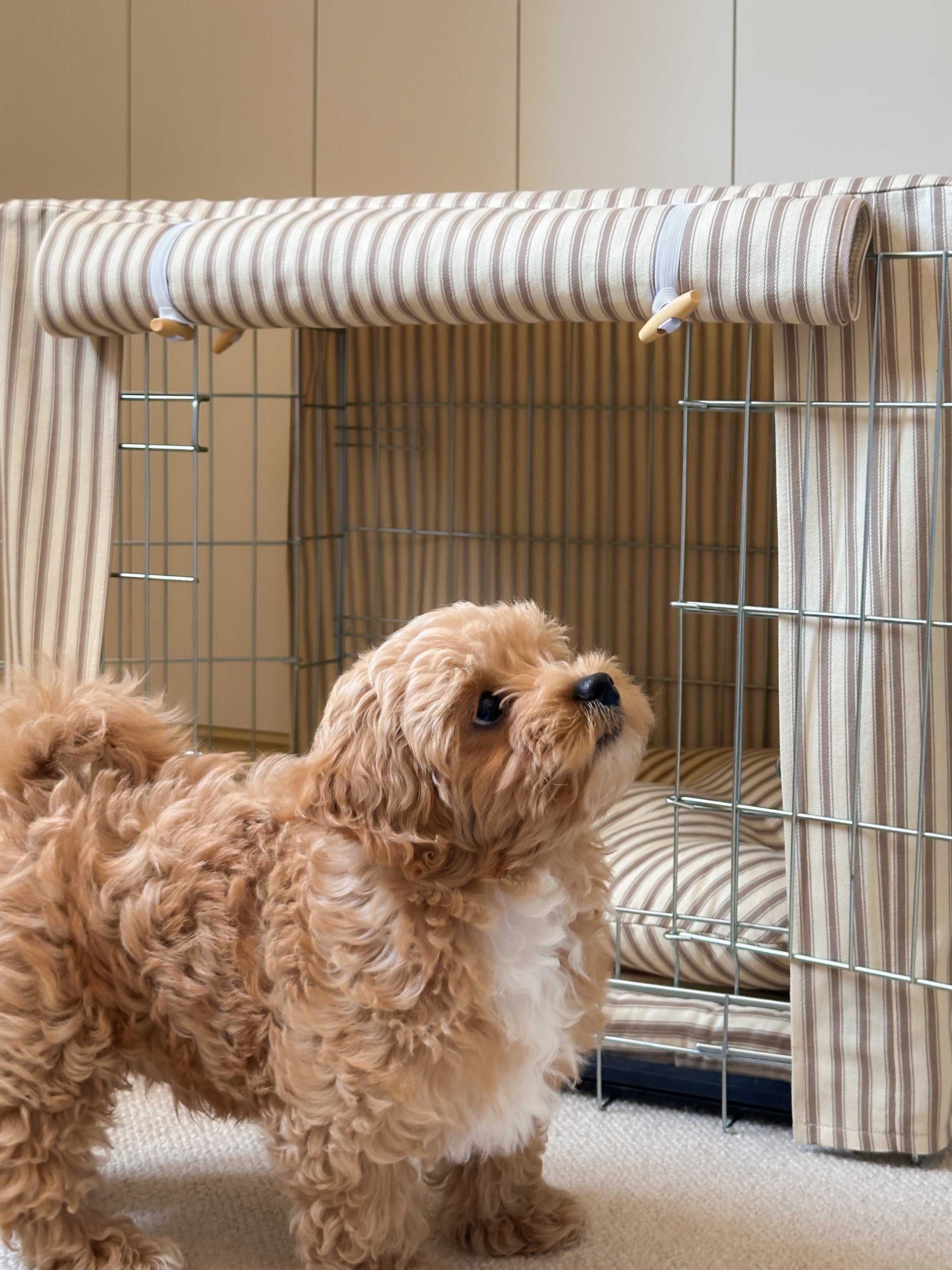 Classic Heritage Stripe Dog Crate Cover - Taupe