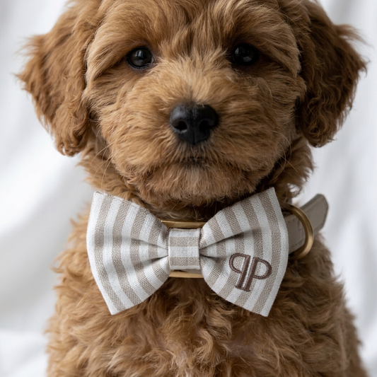 Heritage Stripe Doggy Bowtie - Taupe