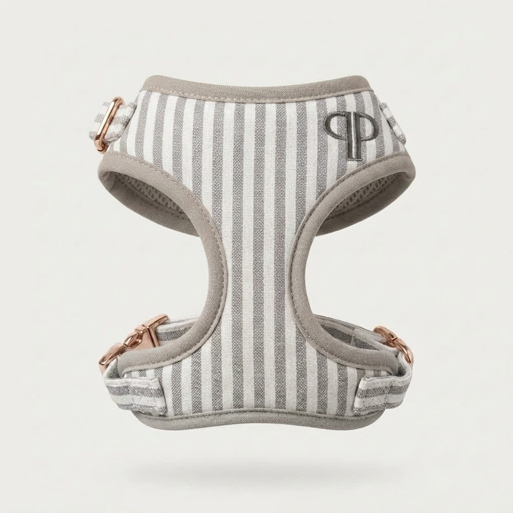 Heritage Stripe Puppy Harness - Taupe
