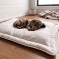 Load image into Gallery viewer, A sleeping puppy rests on a striped quilted dog bed placed on a wooden floor in a bright room.
