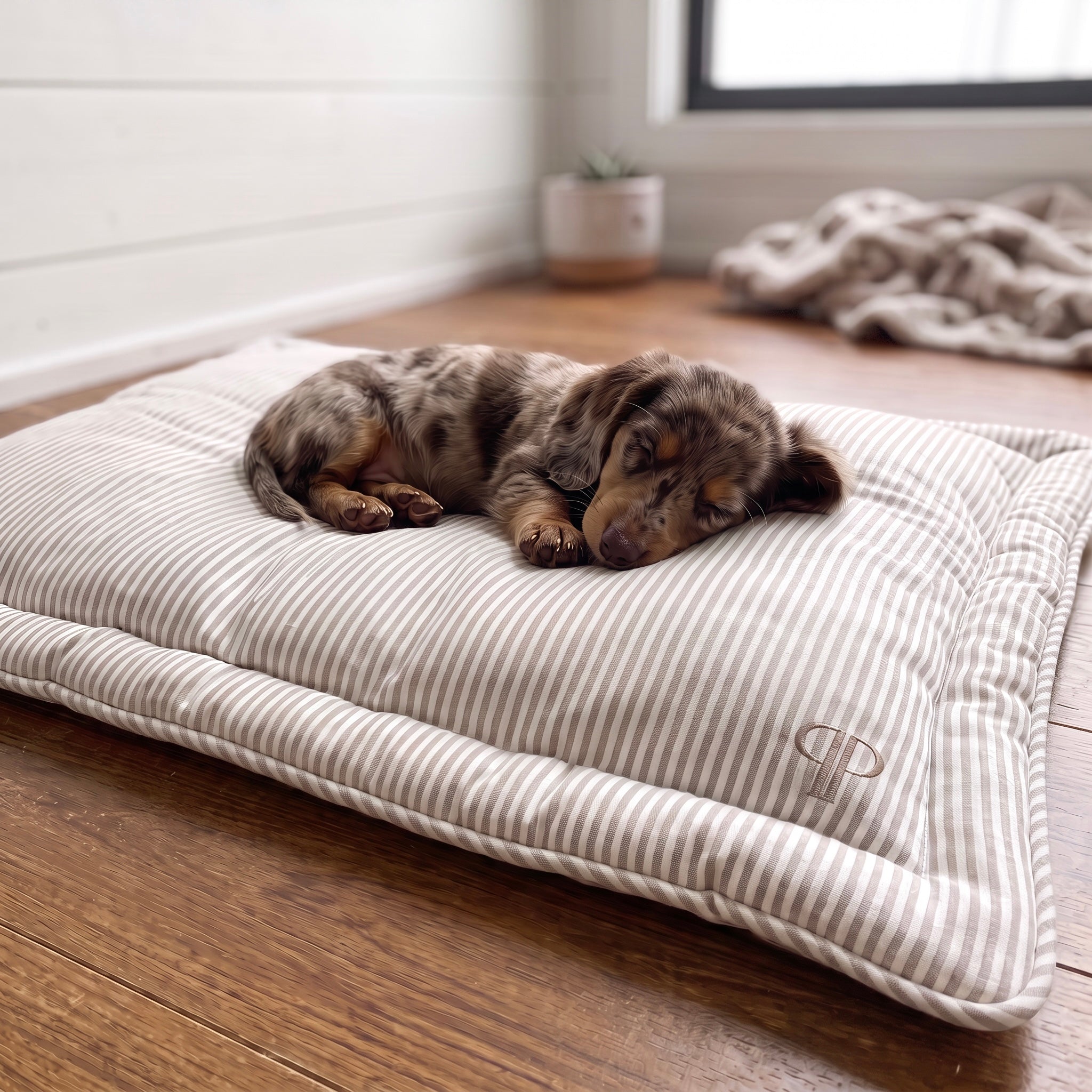A sleeping puppy rests on a striped quilted dog bed placed on a wooden floor in a bright room.