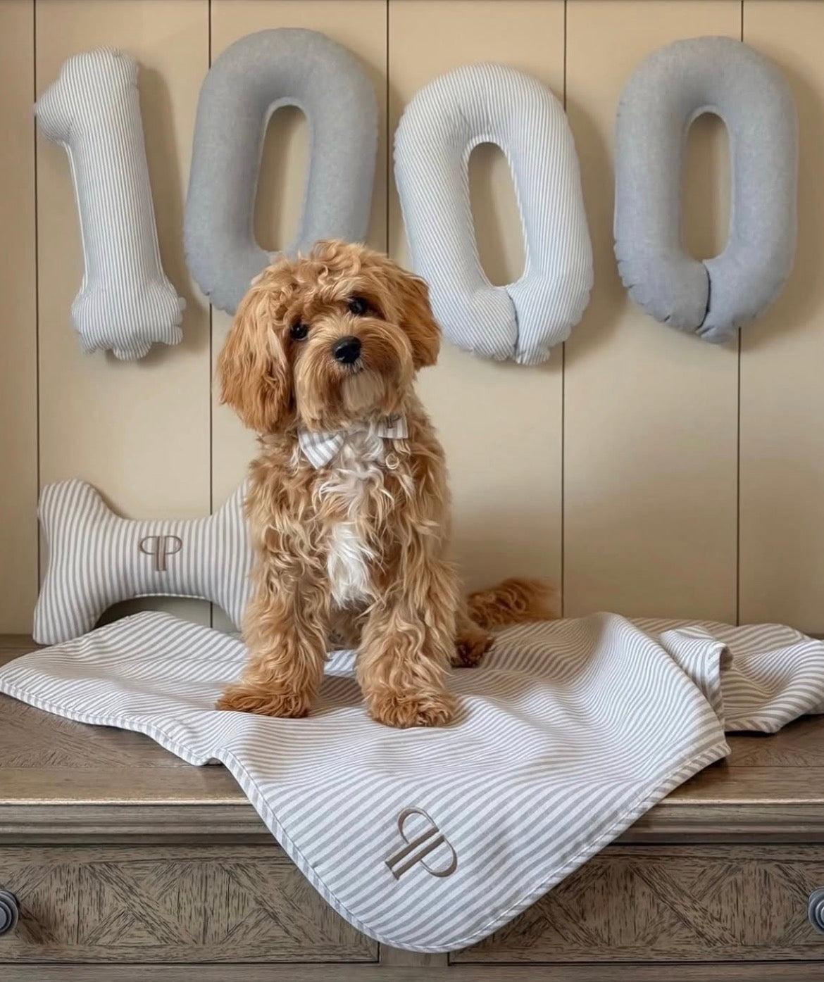 Posh Poos Bone Toy- Heritage Stripe- Taupe